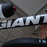 Giant Terrago Disc Black