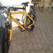 Busetto BUSETTO PRO - LOW (2010)