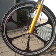 Busetto BUSETTO PRO - LOW (2010)