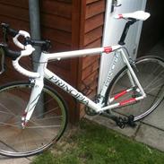 Principia RSLe Pearl Whit