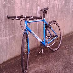 Nishiki race hybrid pro sl