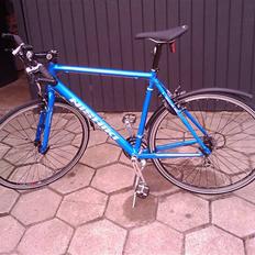 Nishiki race hybrid pro sl