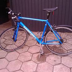 Nishiki race hybrid pro sl