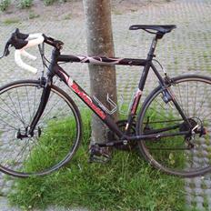 Bottecchia Race Division