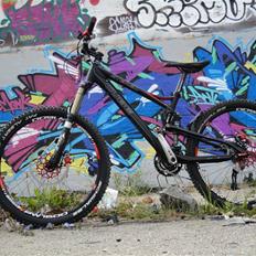 Cube Stereo The One 2010