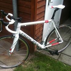 Principia RSLe Pearl Whit