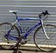 Pinarello Treviso