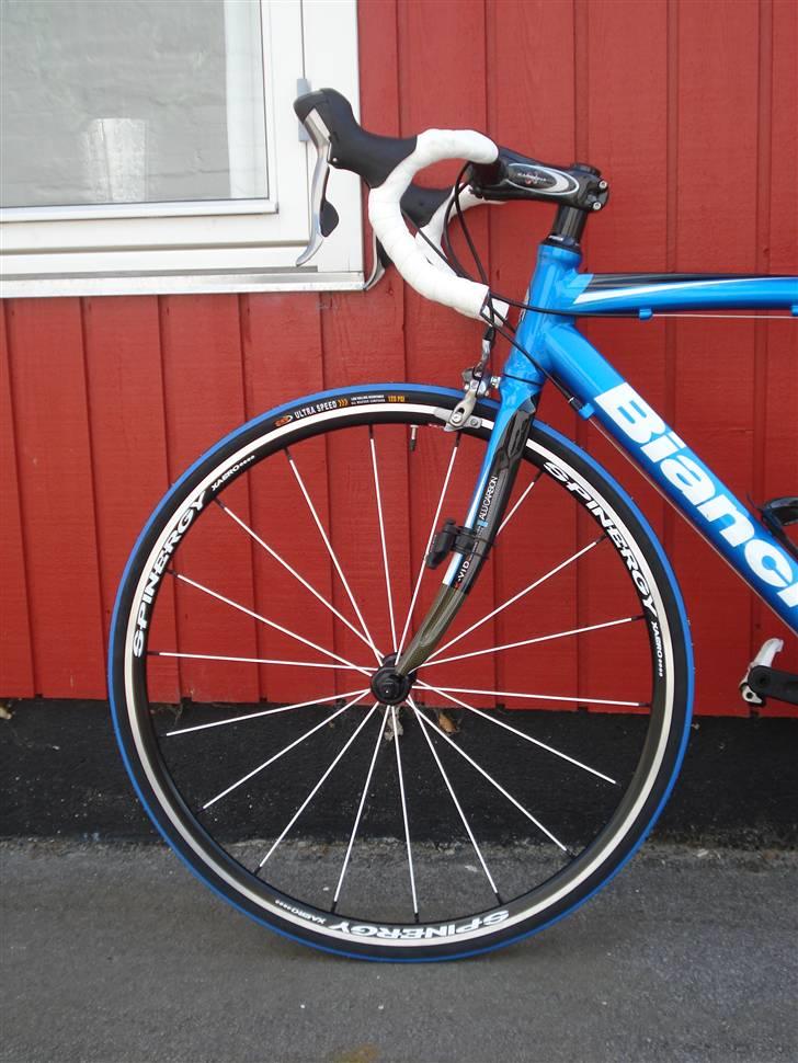 Bianchi Via Nirone 7 billede 16