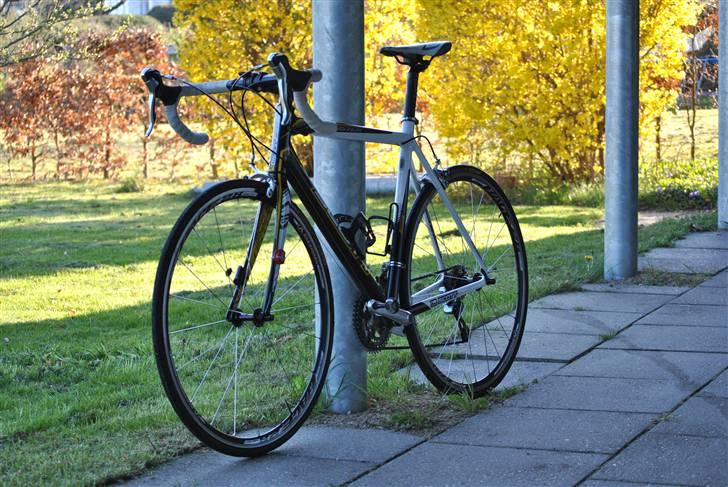 Scott Speedster S40 Vinterlåge billede 2