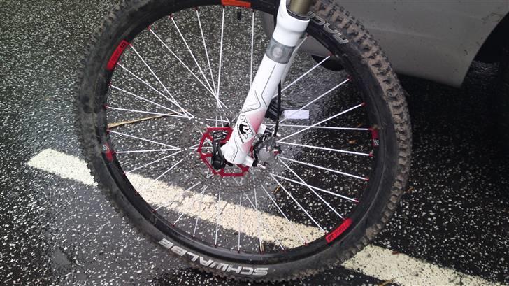 bicicletta scott genius mc 20 forum