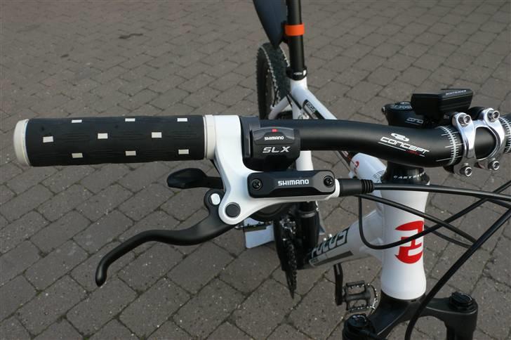 Focus Fat boy 2010 billede 2