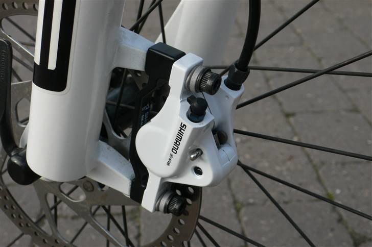 Focus Fat boy 2010 billede 4
