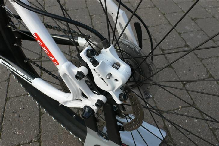 Focus Fat boy 2010 billede 5