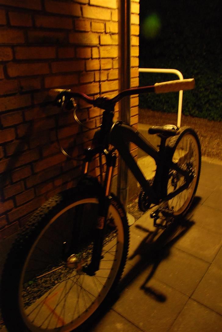Santa Cruz Jackal "opdateret" billede 1