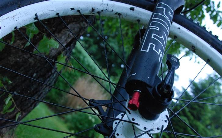 Santa Cruz Jackal "opdateret" billede 16