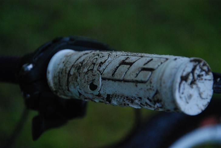 Santa Cruz Jackal "opdateret" billede 18