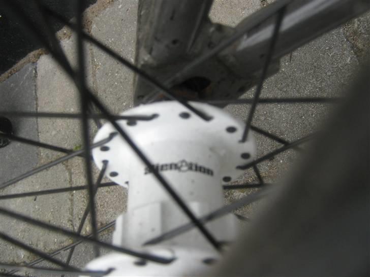 Wethepeople trust 08 20,8 billede 6