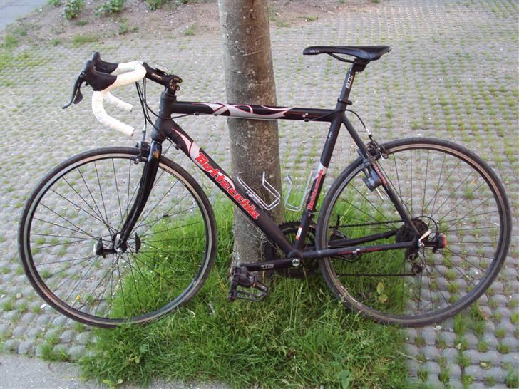Bottecchia Race Division billede 1
