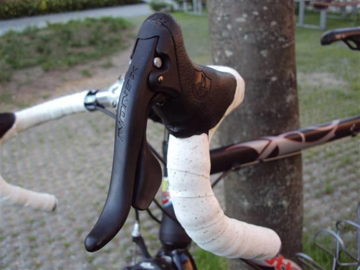 Bottecchia Race Division billede 2
