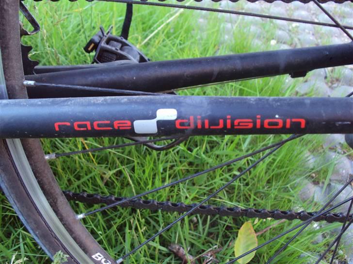 Bottecchia Race Division billede 5
