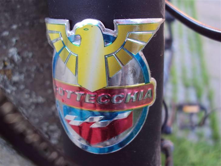 Bottecchia Race Division billede 8