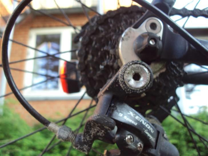 Bottecchia Race Division billede 12