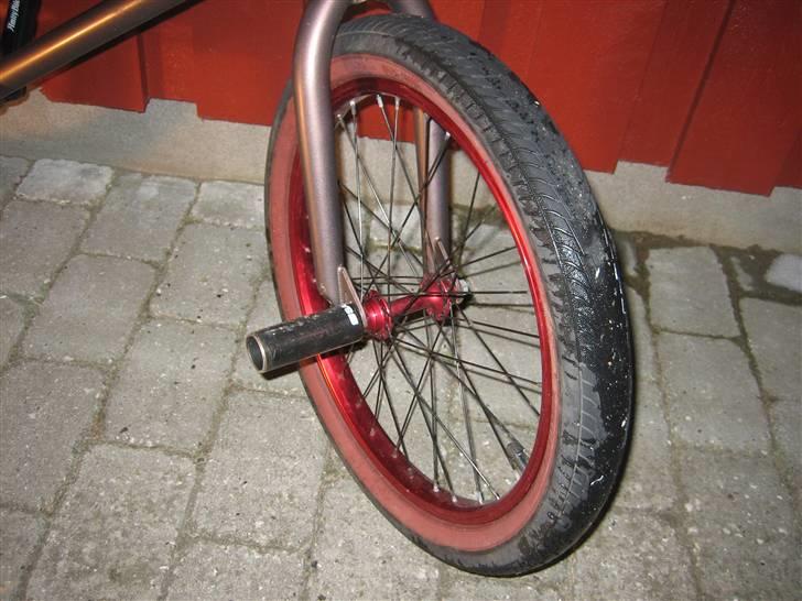 Amity Zenta - amity front wheel, salt peg, amity zenta fork and fit faf 2.3 tyre billede 3