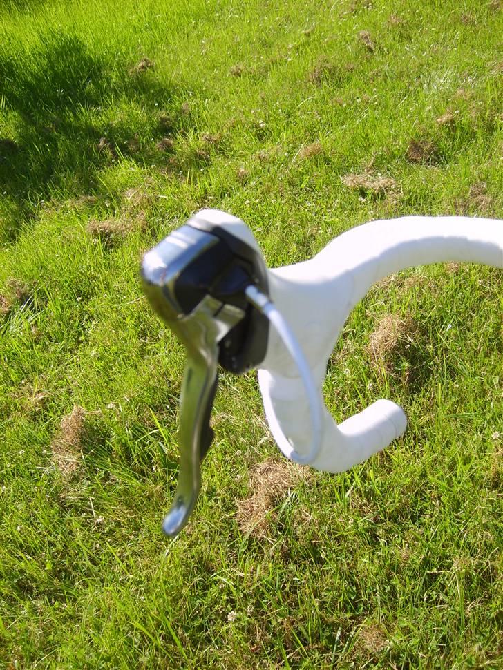 Rivette r 6 prototype billede 15