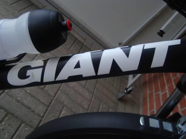 Giant Terrago Disc Black billede 4