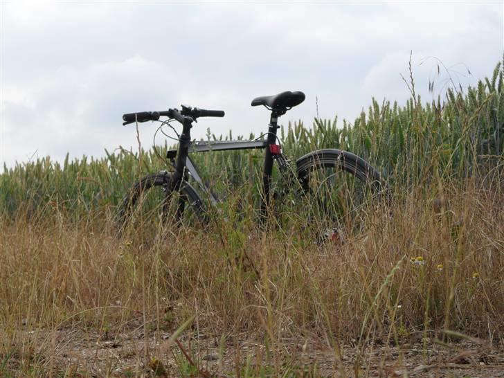 Centurion enternity Light billede 7