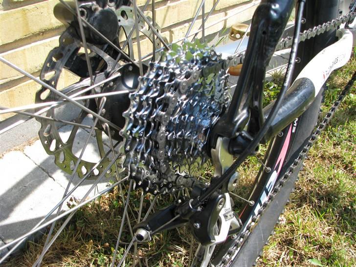 Radon ZR Team 6.0 billede 10