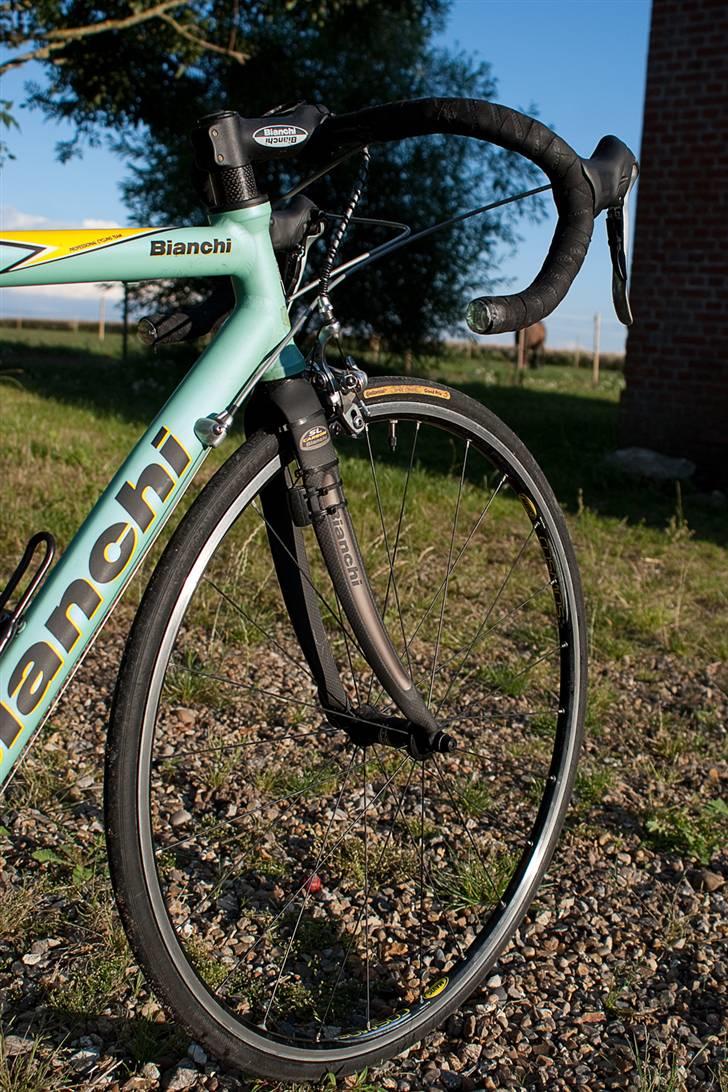 Bianchi SL3 billede 8