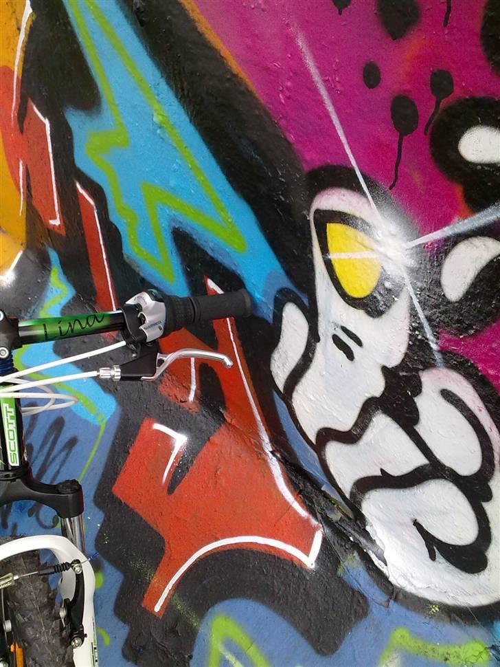 Scott scale jr 24 2010 - mit styr er malet af Evil P. billede 19