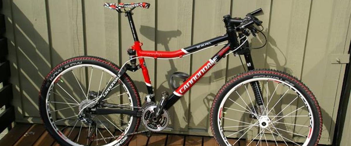 cannondale scalpel 3000 lefty