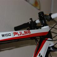 Bianchi Pulse 9100