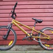 Schwinn predator