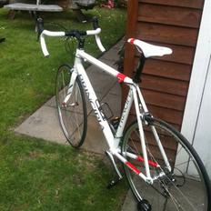 Principia RSLe Pearl Whit