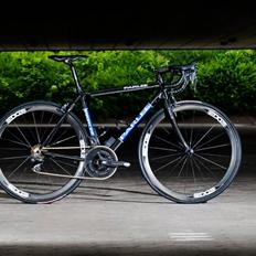 Parlee Z4