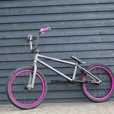 Verde - SOLGT - Prism 2011