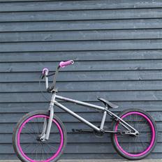 Verde - SOLGT - Prism 2011