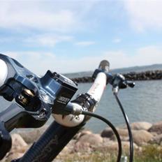 Monty Kamel 221 - SOLGT