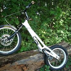Czar 20" DD Long *solgt