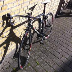 Carrara Monocoque Carbon Racer