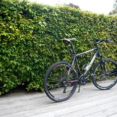 Cube                    Analog