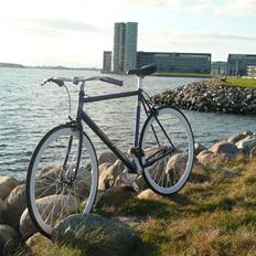 Fausto Coppi Italia (SS Projekt)