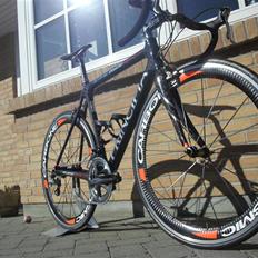 Principia Ellipse Weave C24T
