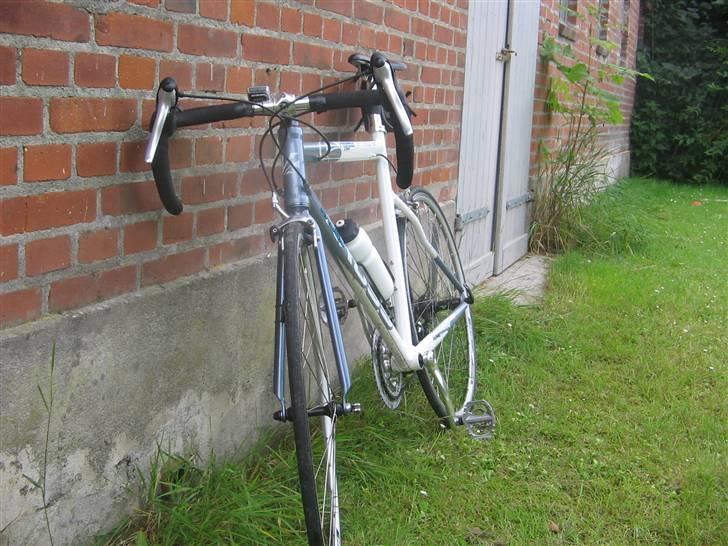 Kross Venom Enyo billede 3
