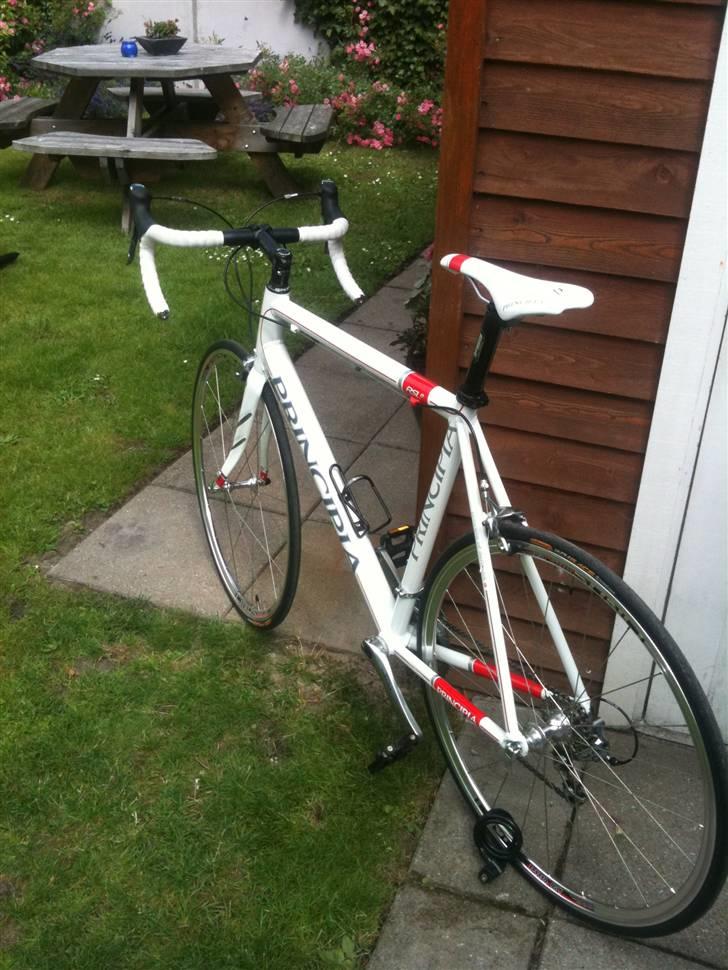 Principia RSLe Pearl Whit billede 2