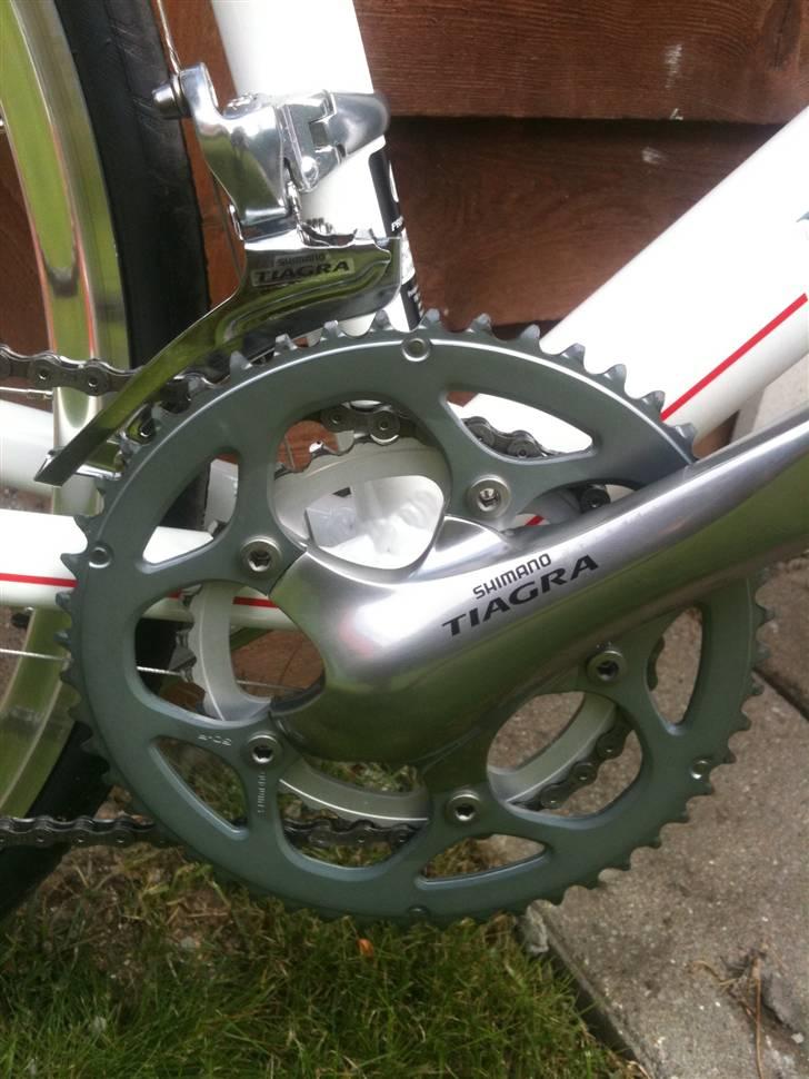 Principia RSLe Pearl Whit billede 3