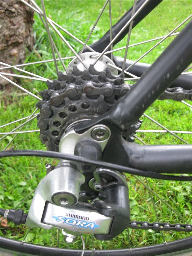 Fort ENTRY billede 5